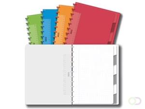 ADOC Schrift  Colorlines A4 ruit 5x5mm 144blz 90gr PP assorti | 8 stuks | 8 stuks