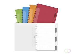 ADOC Schrift  Colorlines A4 ruit 4x8mm 144blz 90gr PP assorti | 8 stuks | 8 stuks