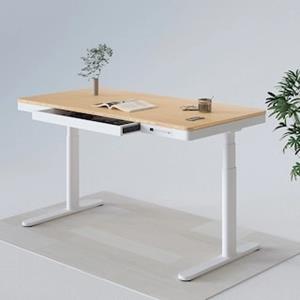 FlexiSpot Zit sta bureau in bamboe Q8 wit
