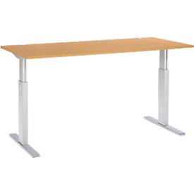 Schäfer Shop Select Bureautafel ERGO-T, T-poot, eentraps elektrische in hoogte verstelbaar, B 1600 x D 800 x H 725 -1185 mm, dekor beuken
