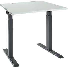 Schäfer Shop Select ERGO-T 2.0 bureau, vierkant, T-voet, B 800 x D 800 x H 675-895 mm, lichtgrijs/antraciet