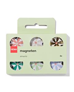 HEMA Magneten Glas Bloem - 6 Stuks