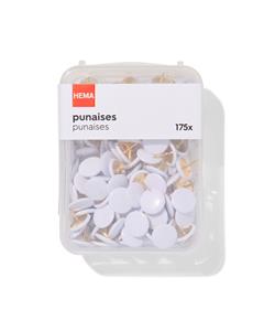 HEMA Punaises - 175 Stuks