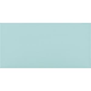Magnetoplan Design-magneetbord Wood Series, berkenhout, b x h = 960 x 480 mm, lichtblauw