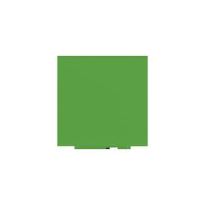 Whiteboard Skincolor, plaatstaal, gelakt, b x h = 1000 x 1000 mm, groen