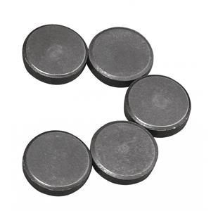 Rayher hobby materialen Rayher hobby en knutselen magneten - set 5x van formaat D20 x H5 mm - metaal - rond -