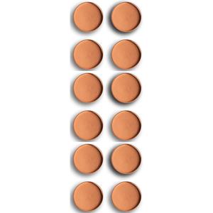 Zeller Whiteboard/koelkast magneten extra sterk - 12x - rose goud - 2 cm -