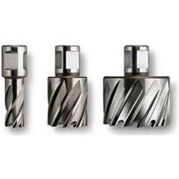 Fein 63134430051 Kernboor 43 mm 1 stuks