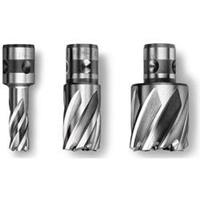 Fein 63133379051 Kernboor 38 mm 1 stuks