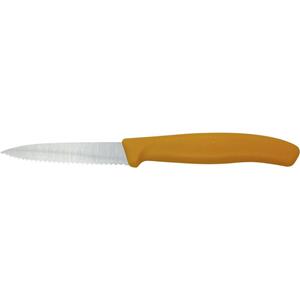 Groentemes SwissClassic Oranje Victorinox 6.7636.L119