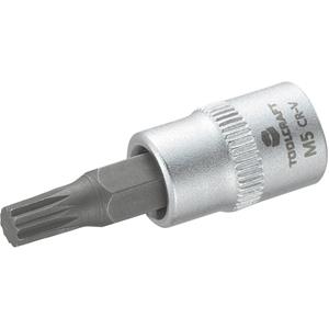 toolcraft M5 Innen-Vielzahn (XZN) Steckschlüssel-Bit-Einsatz 5mm 1/4  (6.3 mm)