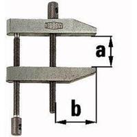 Parallel-Schraubzwinge Spannw.40mm Auslad.27mm doppelte Spindelführung - BESSEY Tool Tool