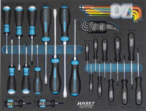 HAZET Schroevendraaierset 163-373/39 - Sleufprofiel, Kruiskop profiel PH, Binnen-TORX-profiel, Binnen-zeskant-profiel - 39-delig - 0,6 x 3,5 - 2 x 12