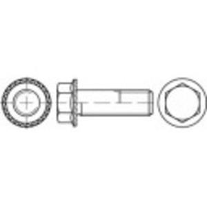 toolcraft Borgschroeven M5 10 mm Buitenzeskant (inbus) Staal 500 stuks