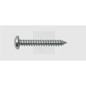 SWG Blechschrauben 3.9mm 16mm Kreuzschlitz Phillips DIN 7981 Stahl verzinkt 100St. A754621