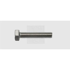 SWG Zeskantbouten M10 50 mm Buitenzeskant (inbus) DIN 933 RVS A2 25 stuk(s)