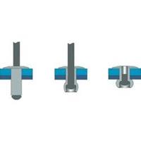 Bralo Blindklinknagel roestvrij staal/roestvrij staal platbolkop kleinverpakking 8 mm RVS/RVS 25 stuks