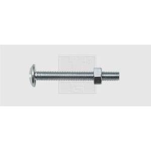 SWG Montageschroeven M6 40 mm Buitenzeskant (inbus) Staal Verzinkt 100 stuk(s)