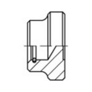 toolcraft Druckstücke M8 Stahl 10St.