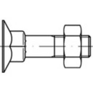 toolcraft Verzonken schroeven met vierkante hals M8 40 mm Buitenzeskant (inbus) DIN 605 Staal 200 stuks