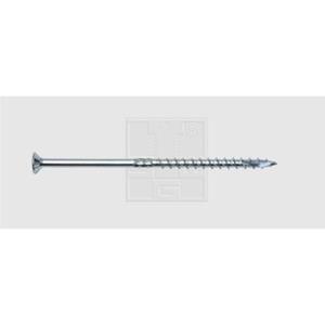 SWG HOLZBAUSCHR.VZ TG 10,0 X 240 (10)