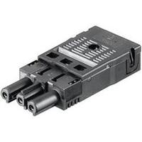 Wieland GST18i3F B2 ZR1 SW - Connector plug-in installation 3x1,5mm² GST18i3F B2 ZR1 SW