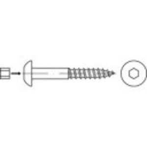 Bolkop houtschroeven 100 mm Binnenzeskant (inbus) Staal galvanisch verzinkt 50 stuks toolcraft 159345