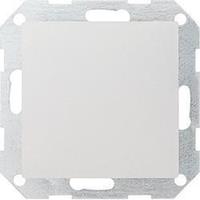 GIRA 026827 - Central cover plate blind cover 026827