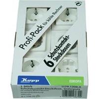 Profi-Pack a 6 Schuko- Steckdosen UP EUR arkt.ws - SHOP-AR