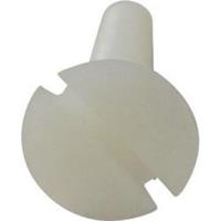 toolcraft Senkschrauben M4 20mm Schlitz DIN 963 Kunststoff, Polyamid 10St.