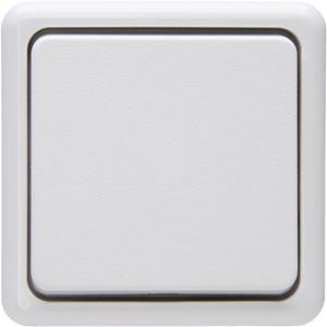 Kopp Taster Aufputz-Standard Arktis-Weiß 514402000 W945751