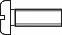 toolcraft Cilinderschroeven M2.5 20 mm Sleuf DIN 84 Kunststof, Polyamide 10 stuks