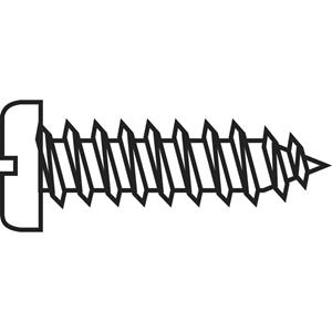 TOOLCRAFT 228745 Verzonken schroeven 6.5 mm Sleuf DIN 7971-C ISO 1481 Staal Verzinkt 20 stuk(s)