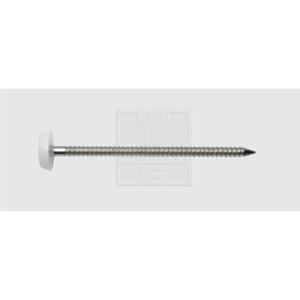 SWG EDELSTAHLNAEGEL V4A 2,0 X 30 MM (250)