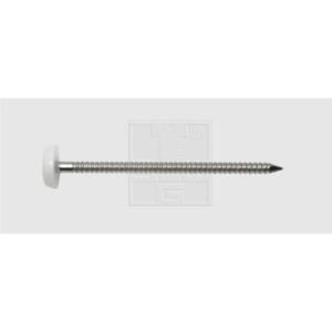 Nagel (Ø x l) 3.1 mm x 65 mm RVS A4 SWG 40 stuks