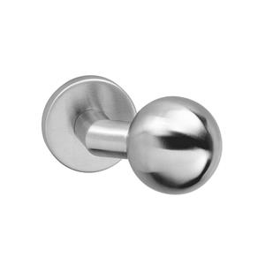 intersteel Voordeurknop bol/schuin vast op rozet verdekt 10mm RVS