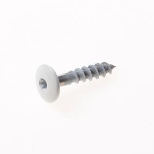 Kelfort Kleurkopschroef RVS A2 wit 4.8 x 25mm