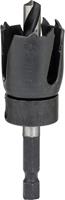 Gatenzaag 60 mm Bosch Carbon 2609256D06 1 stuks