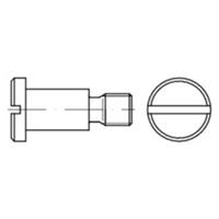 Flachkopfschraube mit Schlitz und Ansatz DIN 923 St. 4.8/5.8 galv.verz. M 8x  6