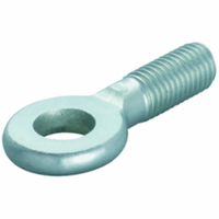 Fischer Oogschroef AG 10x25 100 stuk(s)