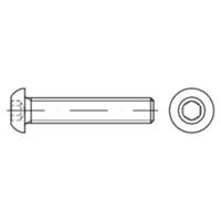 Sonstige Linsenschraube ISO 7380-1 Stahl 10.9 galZn M10x 30