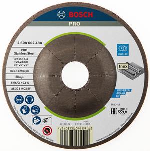 Bosch Schruppscheibe Expert for Inox, 125x6mm, Schleifscheibe