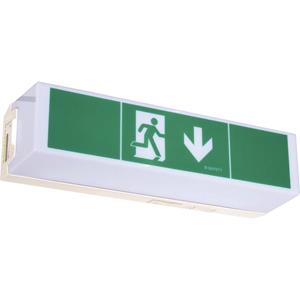 B-Safety BR 565 030 Vluchtwegverlichting Plafondopbouwmontage, Wandopbouwmontage