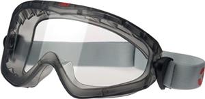 goggles 2890SA 3M DE272934089