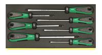 Stahlwille TCS 4820/4830 Schraubendreher-Set