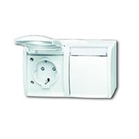 Busch-Jaeger 20/2 EBW-54 - Socket outlet (receptacle) 20/2 EBW-54