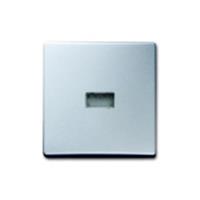 Busch-Jaeger Wippe alusilber 2107-33