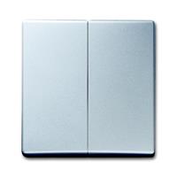Busch-Jaeger Wippe alusilber 2105-33