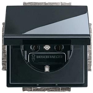 Busch-Jaeger Steckdose 20 EUK-81
