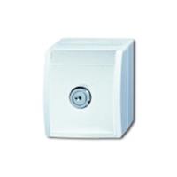 Busch-Jaeger 20 EWSL-54 - Socket outlet (receptacle) 20 EWSL-54